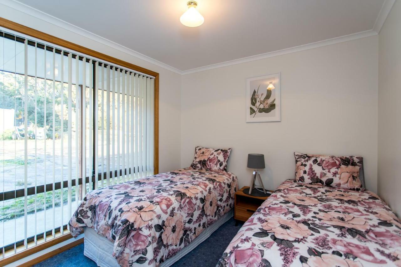 Acton Park Holiday Units Ngoại thất bức ảnh
